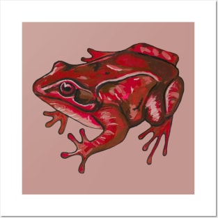 Red tropical frog Posters and Art